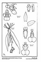  no thumbnail available