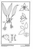  no thumbnail available