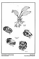  no thumbnail available