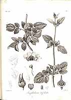  no thumbnail available