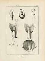  no thumbnail available