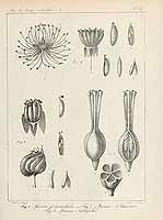  no thumbnail available