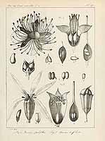  no thumbnail available