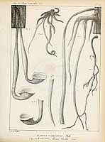  no thumbnail available