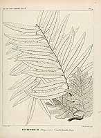  no thumbnail available