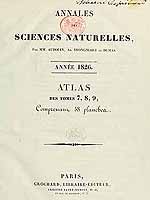  no thumbnail available