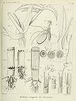  no thumbnail available