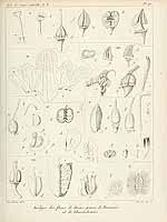  no thumbnail available