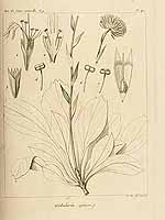  no thumbnail available