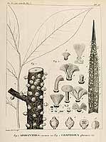  no thumbnail available