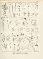  no thumbnail available