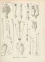  no thumbnail available