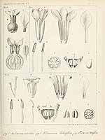  no thumbnail available