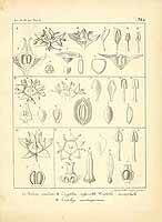  no thumbnail available