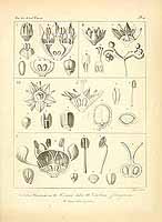  no thumbnail available