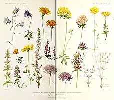  no thumbnail available