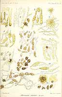  no thumbnail available