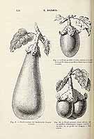  no thumbnail available