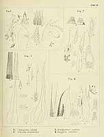  no thumbnail available