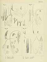  no thumbnail available