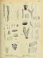  no thumbnail available