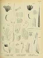  no thumbnail available