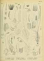  no thumbnail available