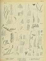  no thumbnail available