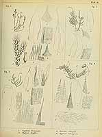  no thumbnail available