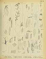  no thumbnail available