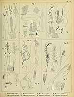  no thumbnail available