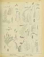  no thumbnail available