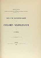  no thumbnail available