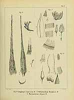  no thumbnail available