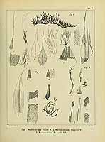  no thumbnail available