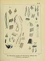  no thumbnail available