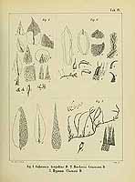  no thumbnail available