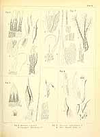  no thumbnail available