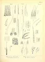  no thumbnail available