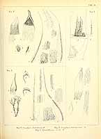  no thumbnail available