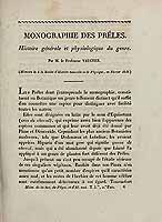  no thumbnail available