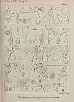  no thumbnail available