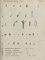  no thumbnail available