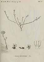  no thumbnail available