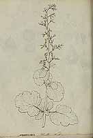  no thumbnail available