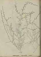  no thumbnail available