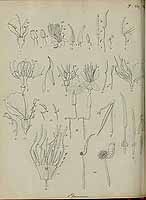  no thumbnail available