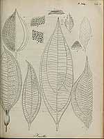  no thumbnail available