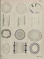  no thumbnail available