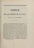  no thumbnail available